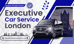 Executive Private Driver London